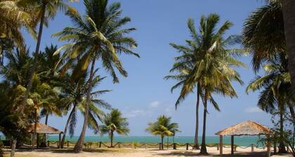 Ponta Village - Paradise in Maragogi - Cottage 02