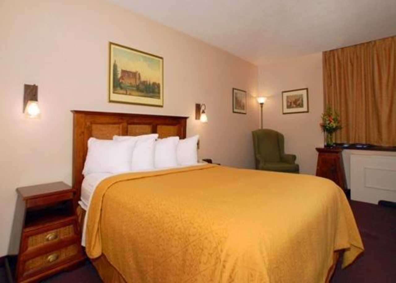 A hotel room with a large bed, a nightstand, a chair, and a radiator.