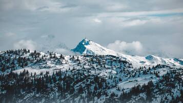 Ferienhaus | Verschiedenes