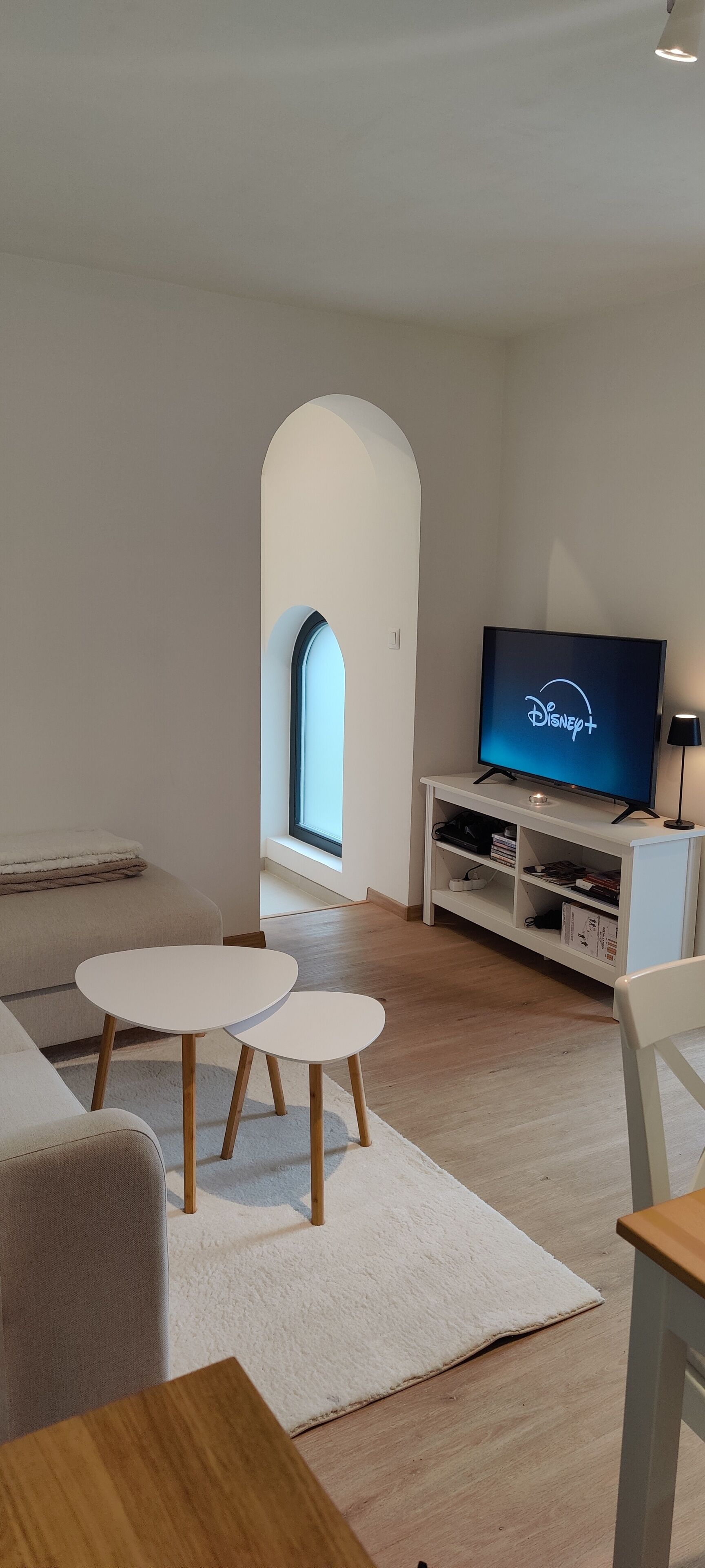 Smart-tv, pejs, videospil, dvd-afspiller