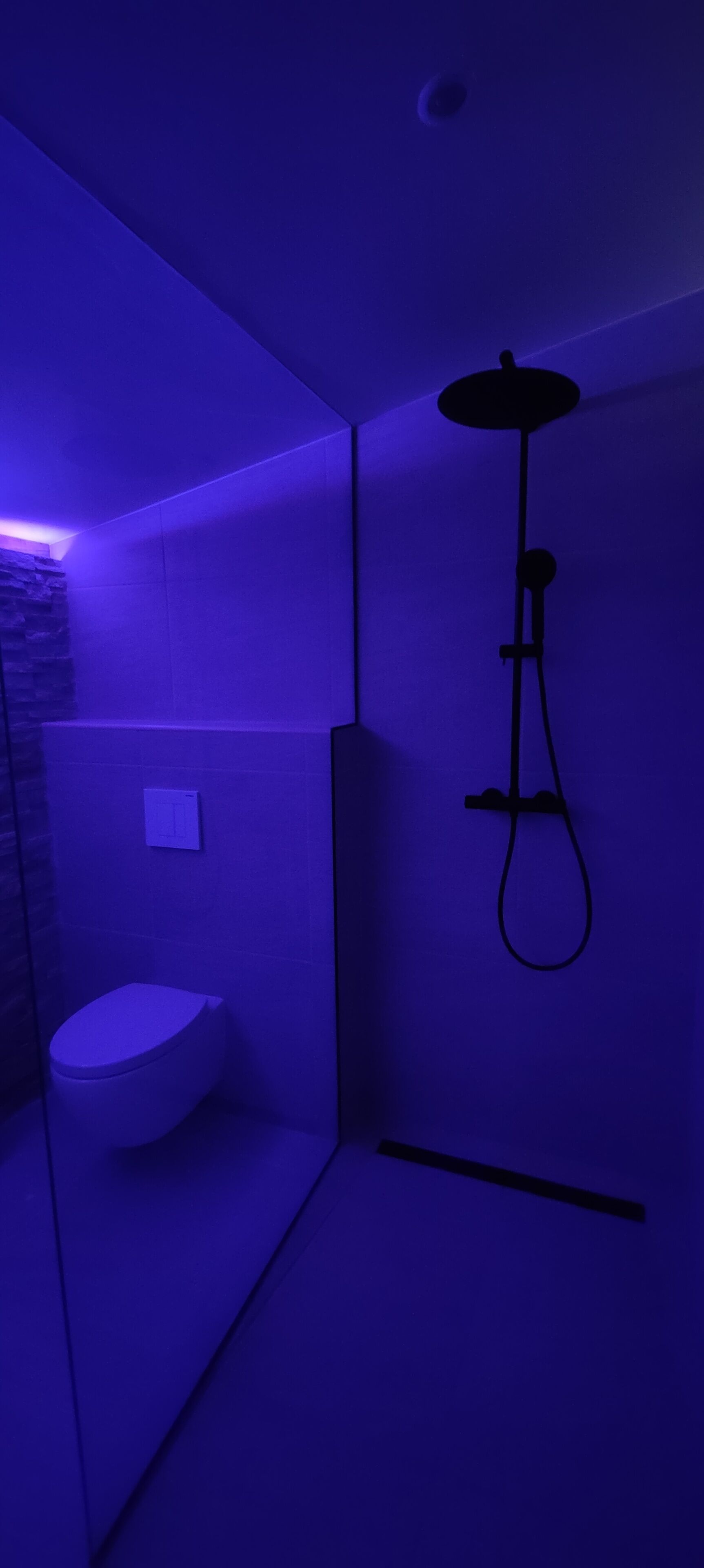 Ein Badezimmer mit Toilette, Dusche und einer Wandleuchte.