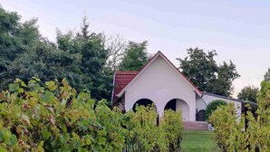 Un vignoble où s’alignent des rangées de vignes, qui mènent à un bâtiment blanc surmonté d’un toit rouge.