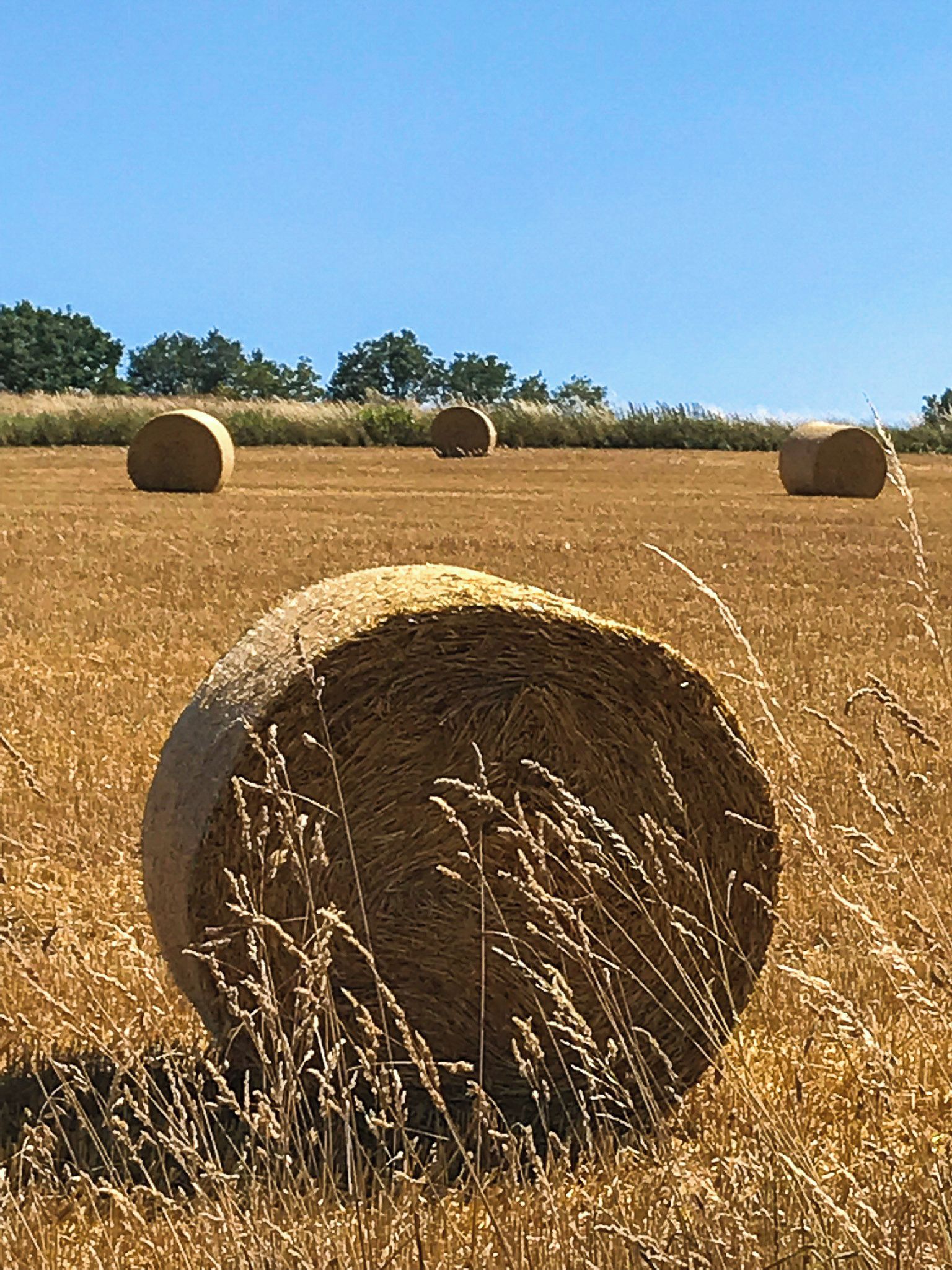 A field with three hay bales in the foreground and two in the background.