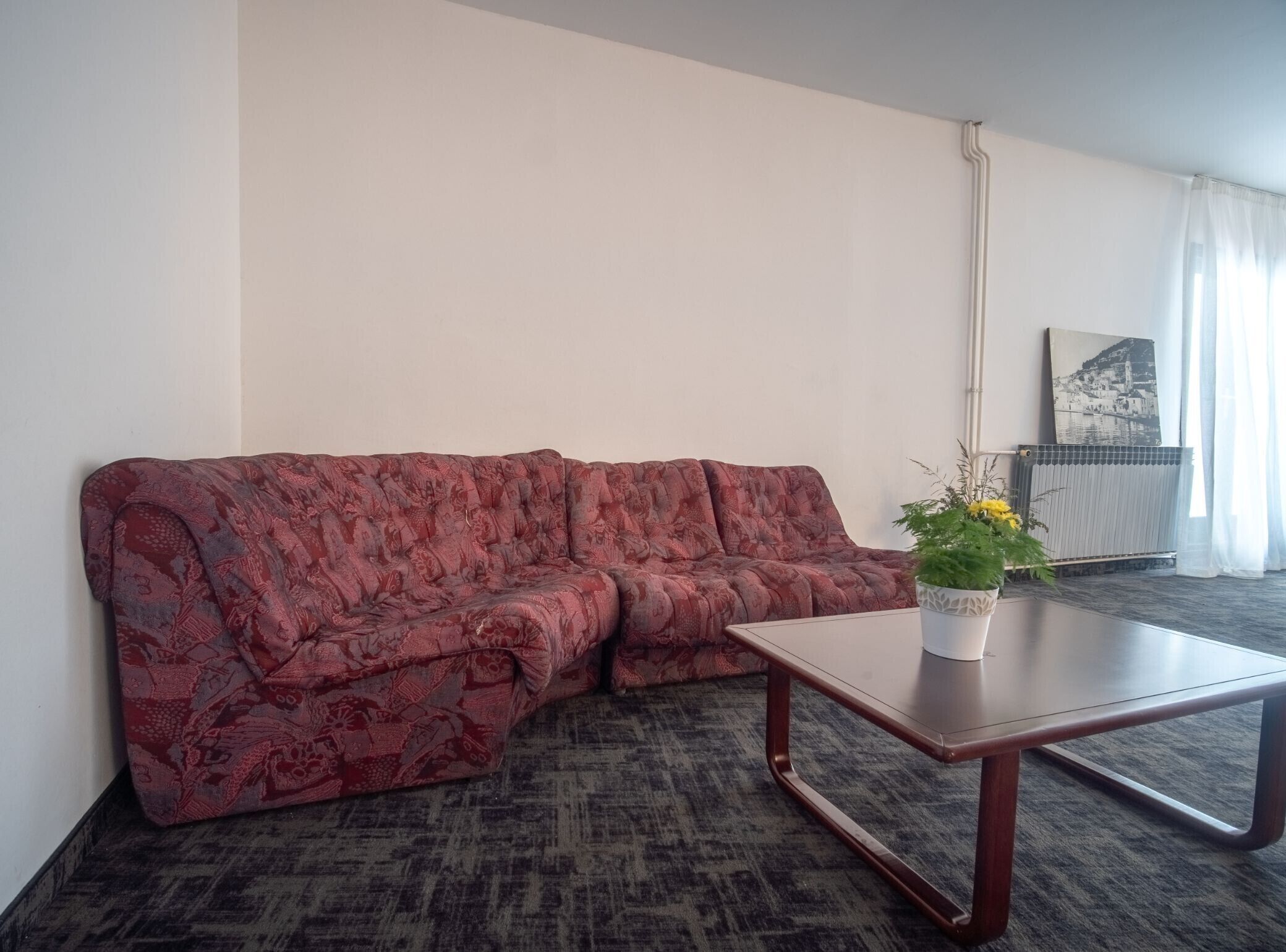 Un salon avec un canapé rouge à motifs, une table basse en bois et une plante en pot.