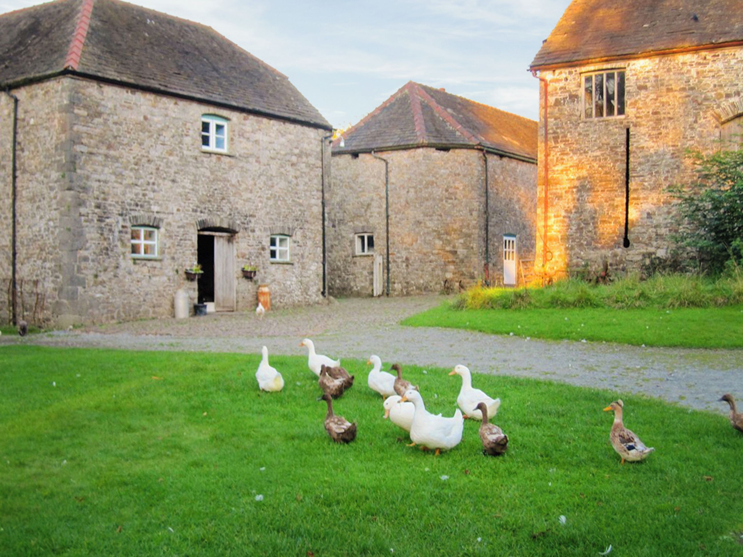 Un bâtiment en pierre avec une cour verdoyante et des canards.