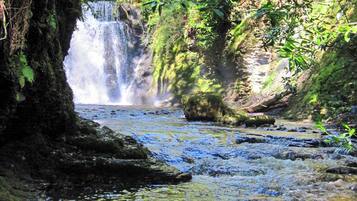 A waterfall in a forested area with a rocky stream.