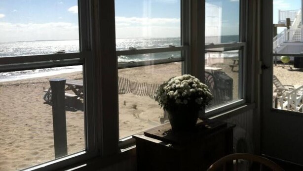 Habitación con grandes ventanales que dan a una playa, una planta en maceta sobre una mesa y vista al océano y muebles de playa.