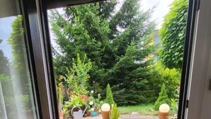 Vista per una porta cap a un pati amb escales que condueixen a un jardí, envoltat de plantes en testos i vegetació.