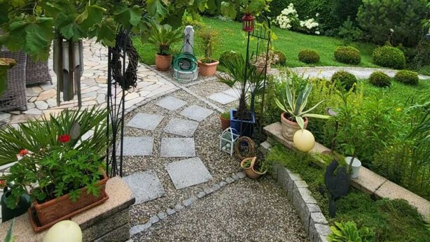 Un camí al jardí que condueix a una casa amb una pèrgola coberta de vinyes.