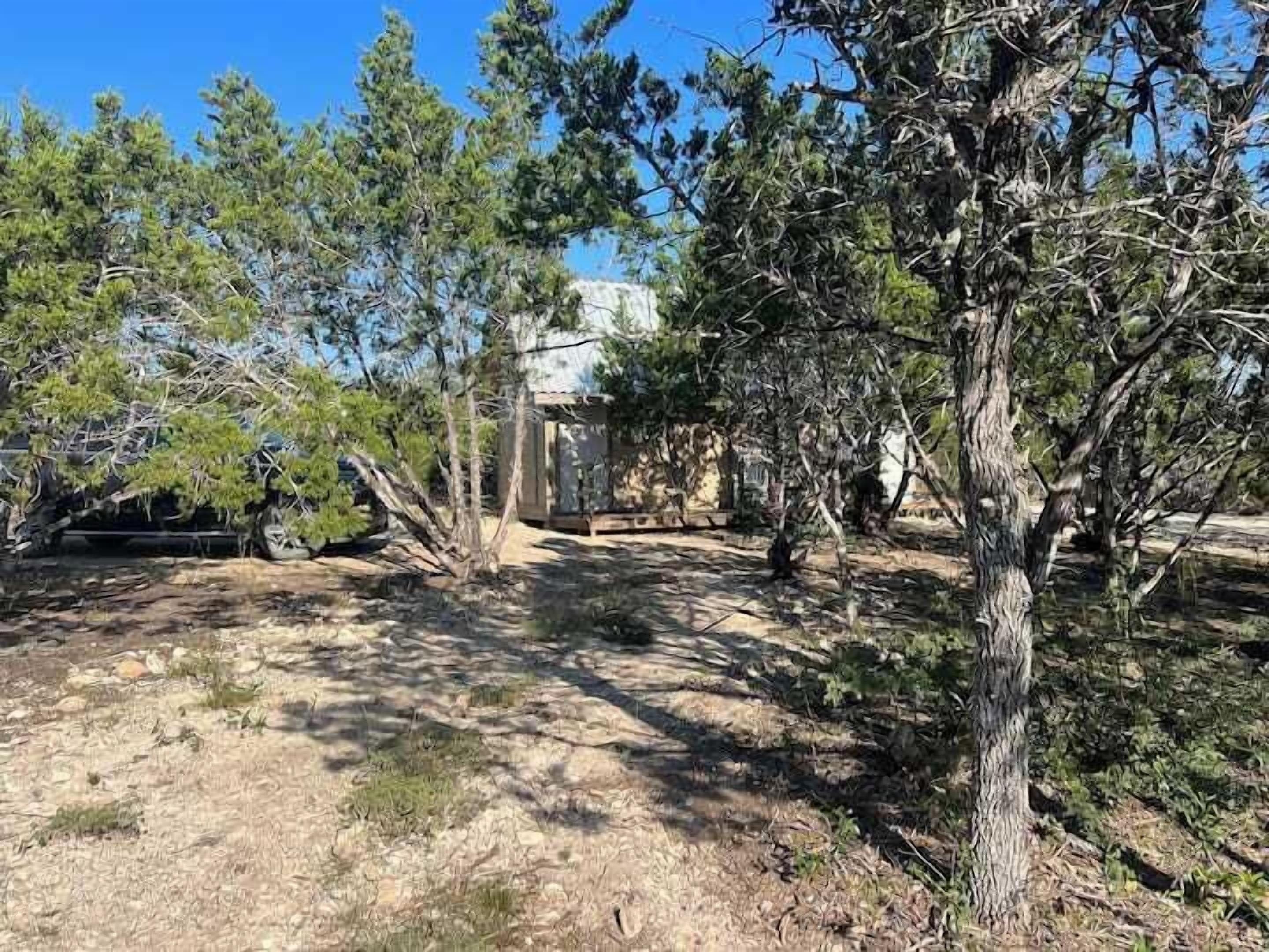 A natural outdoor area with trees and a dirt path.
