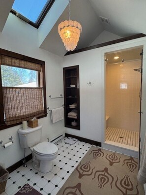 A bathroom with a toilet, sink, shower, and a skylight. - A BEAUTIFUL 3 BEDROOM/2.5 BATH HILLTOP HOME IDEAL FOR GREAT ESCAPES,  (Chatham)