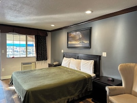 Standard Single Room, 1 King Bed, Non Smoking | Desk, laptop workspace, blackout drapes, iron/ironing board