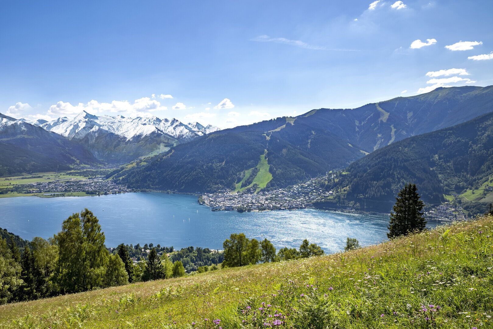 Ein See, umgeben von Bergen, einer Stadt und einem grasbewachsenen Hügel mit Blumen.