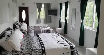 Delightful studio with AC in Clarendon Park