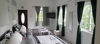 Delightful studio with AC in Clarendon Park