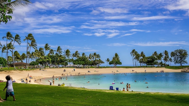 Una playa con palmeras, una piscina y gente nadando.