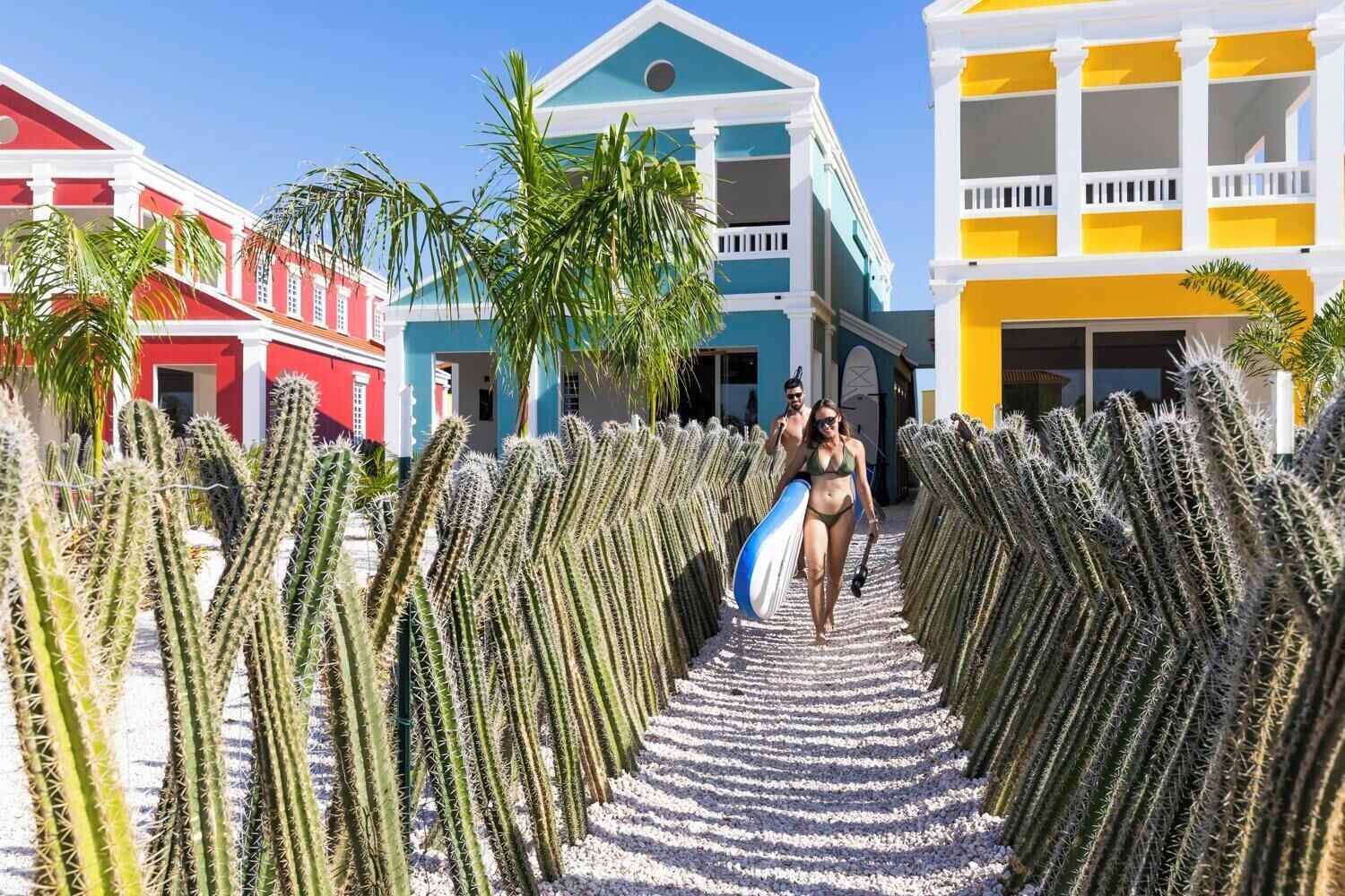 A pathway lined with cacti leading to colorful buildings.