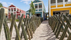 Une rangée de cactus dans un jardin, avec des bâtiments aux couleurs vives en arrière-plan.