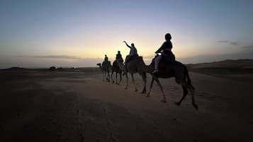 A desert landscape with a clear sky at dusk.