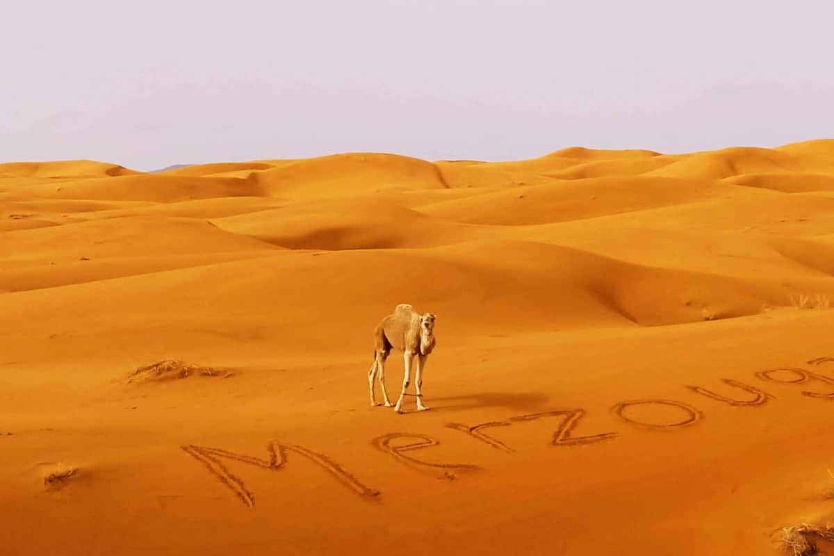 4 quartos, roupas de cama premium, edredons de pluma