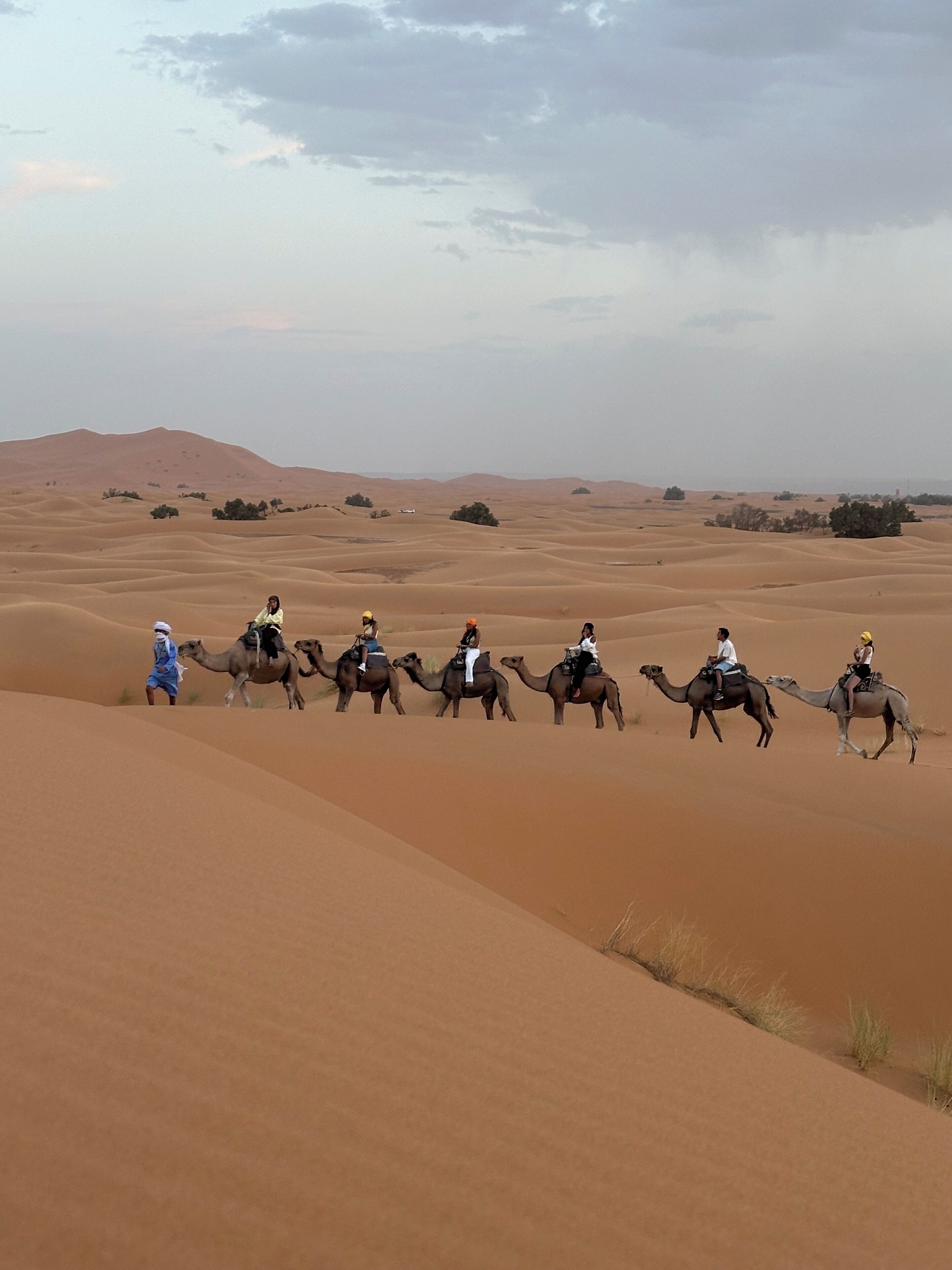 التزلج على الجليد بأحذية التزلج
