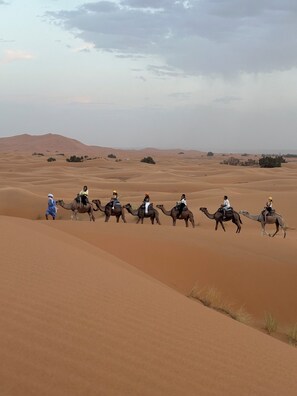 A group of people riding camels across a desert landscape with sand dunes. - Sahara Camp Famille (Taouz)