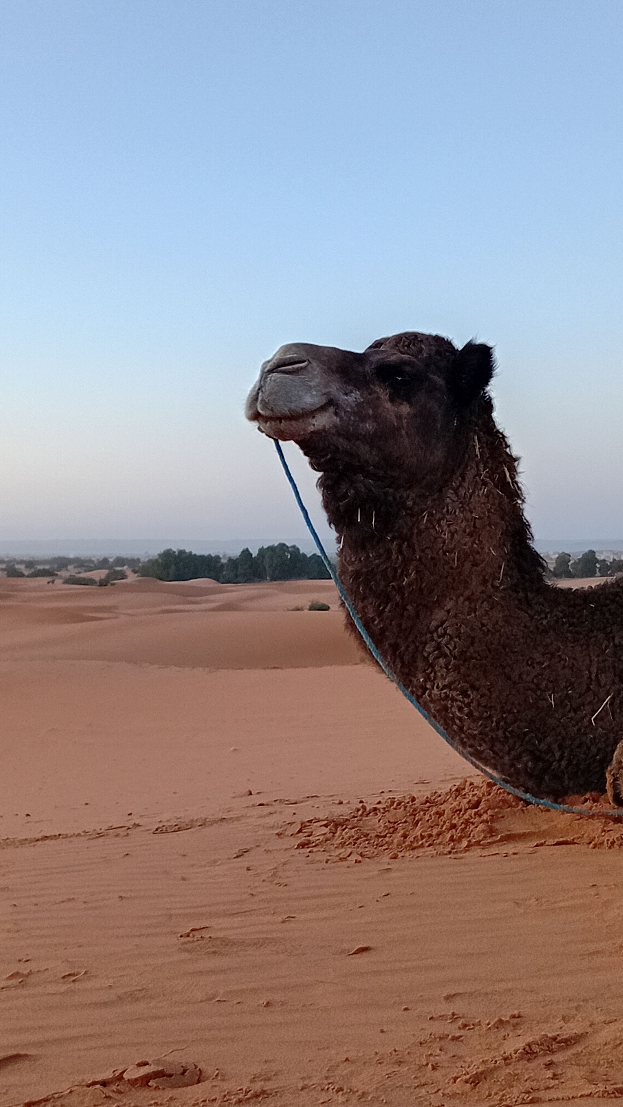 Zona para bodas al aire libre