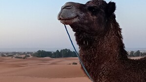 Uklassifisert bilde, 3 av 20, knapp