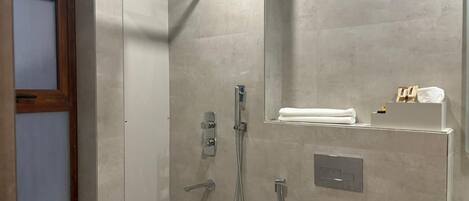 A modern bathroom with a walk-in shower, a toilet, and a sink.