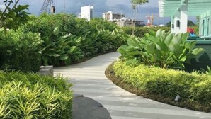 Um caminho cercado por vegetação exuberante, que leva a um edifício com design moderno.