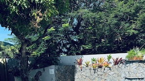 Una piscina con muro de piedra y plantas, rodeada de árboles.