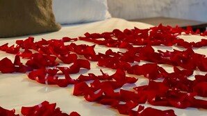 En säng med vita lakan och röda rosenblad utspridda på den.