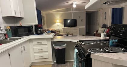 3/2 Sunken Treasure Spacious Home in college town of Troy with WiFi, AC