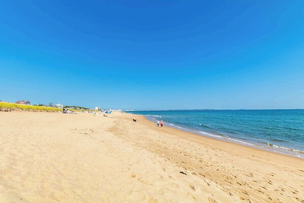 Plage à proximité