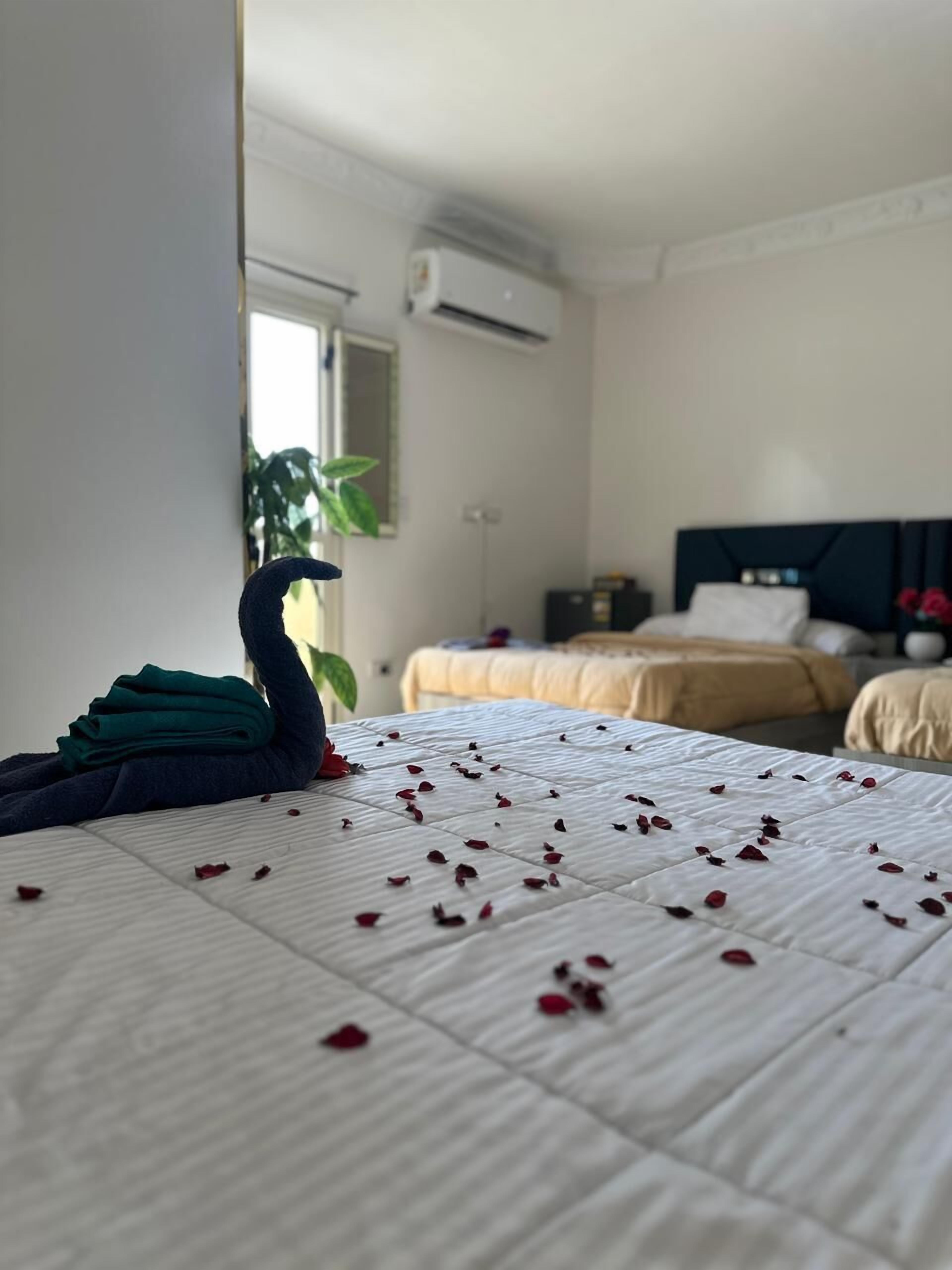 Signature Studio, Multiple Beds, Mountain View