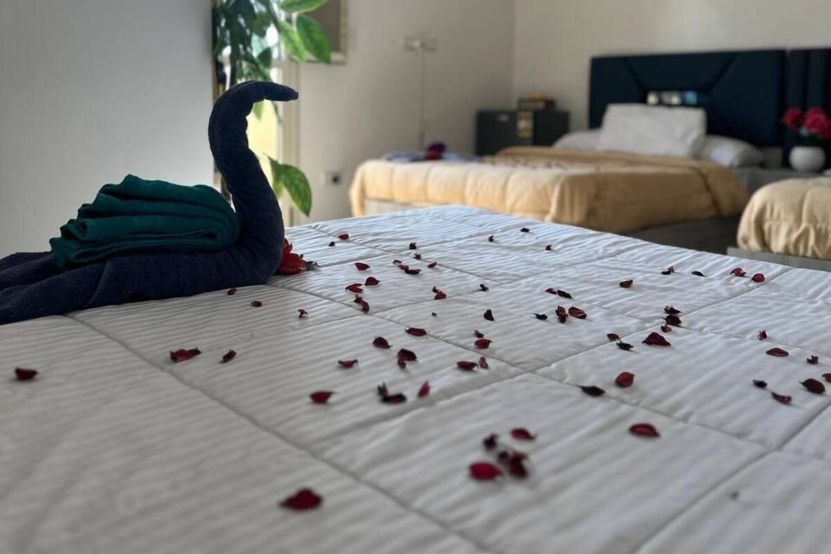 Ein Hotelzimmer mit einem Bett, einer Wand-Klimaanlage, einem Fenster mit Pflanze und einem weiteren Bett im Hintergrund.