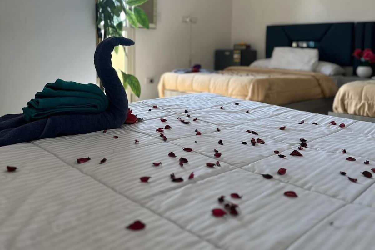 Signature Studio, Multiple Beds, Mountain View | Egyptian cotton sheets, premium bedding, down comforters, in-room safe