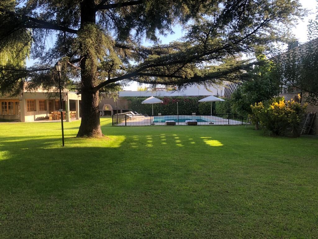 Ein Poolbereich mit einem großen Baum, Sonnenschirmen und einem Zaun.