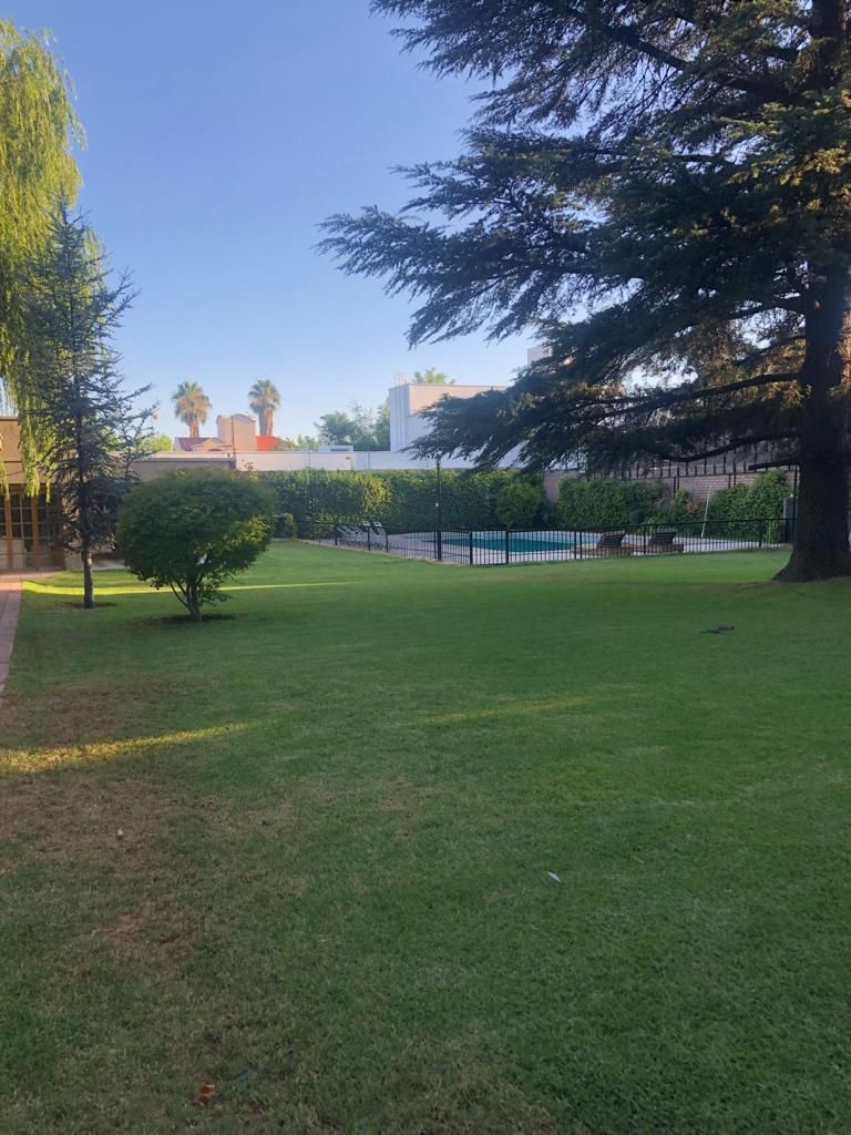 A grassy outdoor area with a small tree, a fence, and buildings in the background.