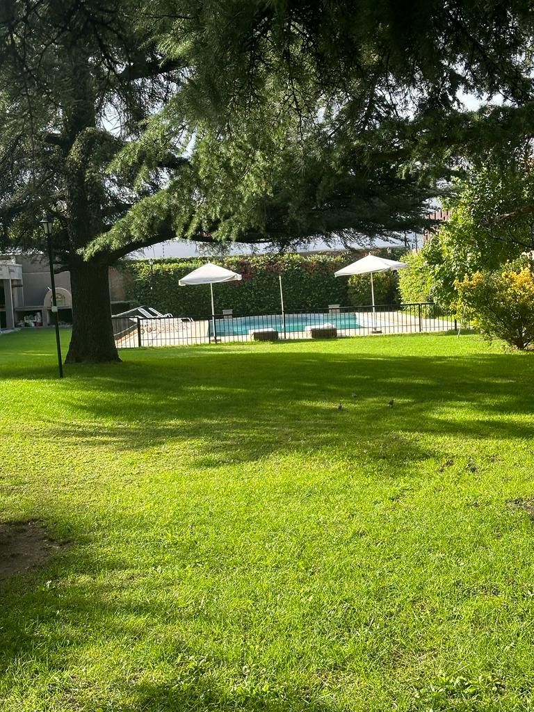 Uma área gramada bem cuidada, com uma árvore grande, uma piscina e uma cerca.