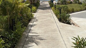 A pathway lined with palm trees and umbrellas leading to a pool area with lounge chairs.
