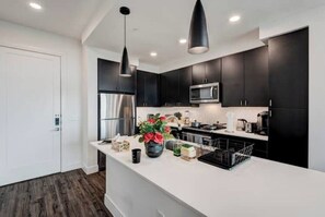 Private kitchen - Luxury Escape in Texas Medical Center - 1 Bd/1 Bth (Houston)