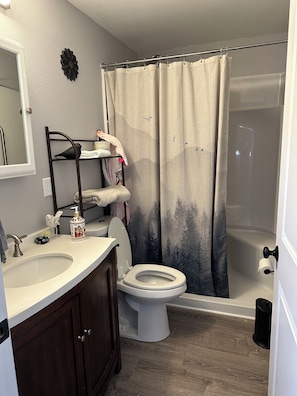 Hair dryer, towels, soap, shampoo