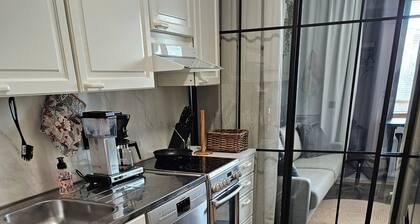 CityStation 59m2 Top Floor Sauna Apartment, WiFi