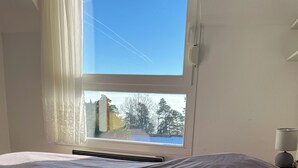 Uklassifisert bilde, 3 av 12, knapp