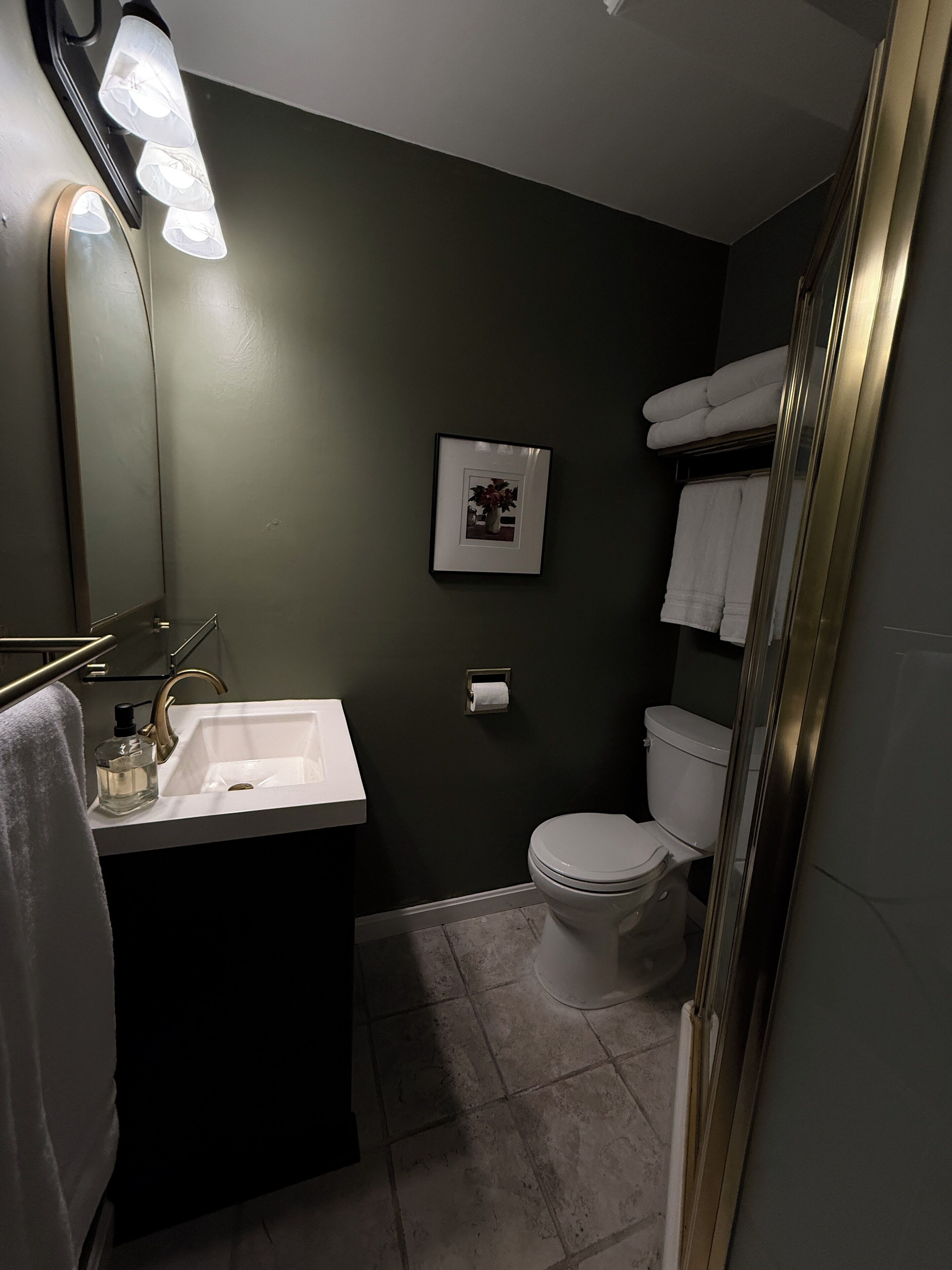 Hair dryer, towels, soap, toilet paper