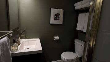 Hair dryer, towels, soap, toilet paper