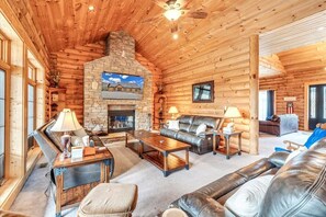 TV, fireplace, video games, DVD player