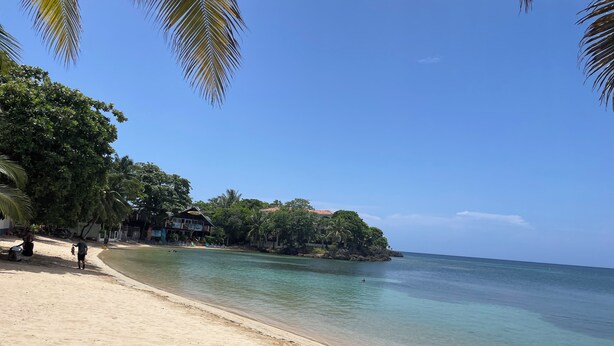Una playa con agua cristalina, palmeras y edificios a lo largo de la costa.