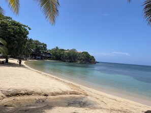 Ein Strand mit klarem Wasser, Palmen und Gebäuden entlang der Küste.